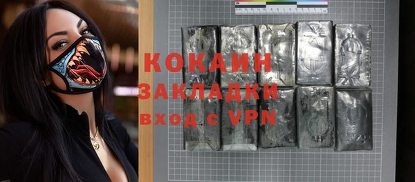 крисы Бородино