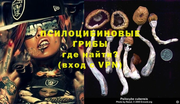 гашик Верхнеуральск