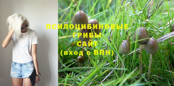 МДПВ Бронницы