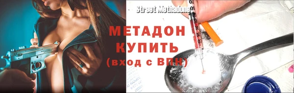 крисы Бородино