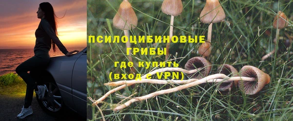 первитин Бугульма