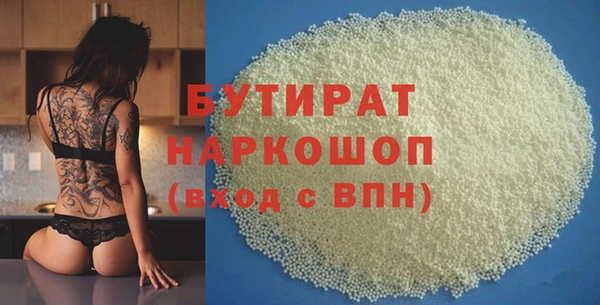 крисы Бородино