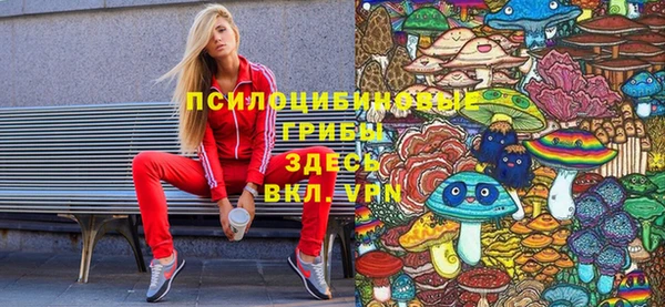 дживик Верея