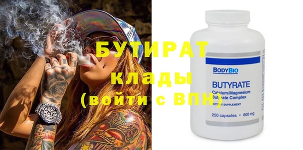 крисы Бородино