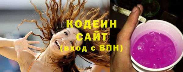 крисы Бородино