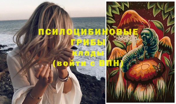дживик Верея